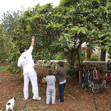 Agroturismo Can Gall Sant Joan De Labritja Exterior photo