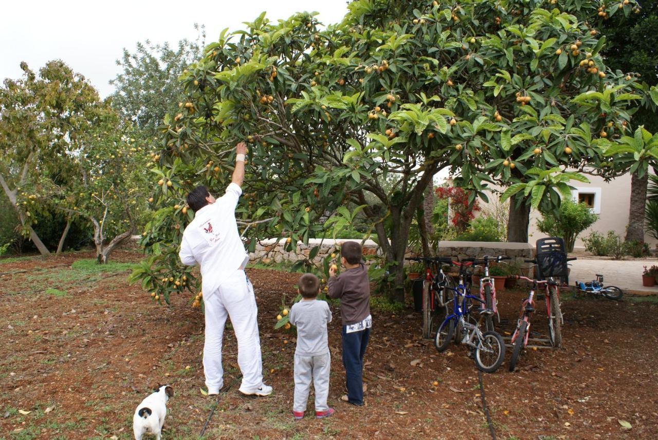 Agroturismo Can Gall Sant Joan De Labritja Exterior photo
